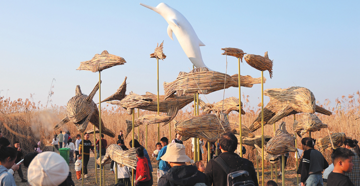 芦苇荡里织就生态画卷