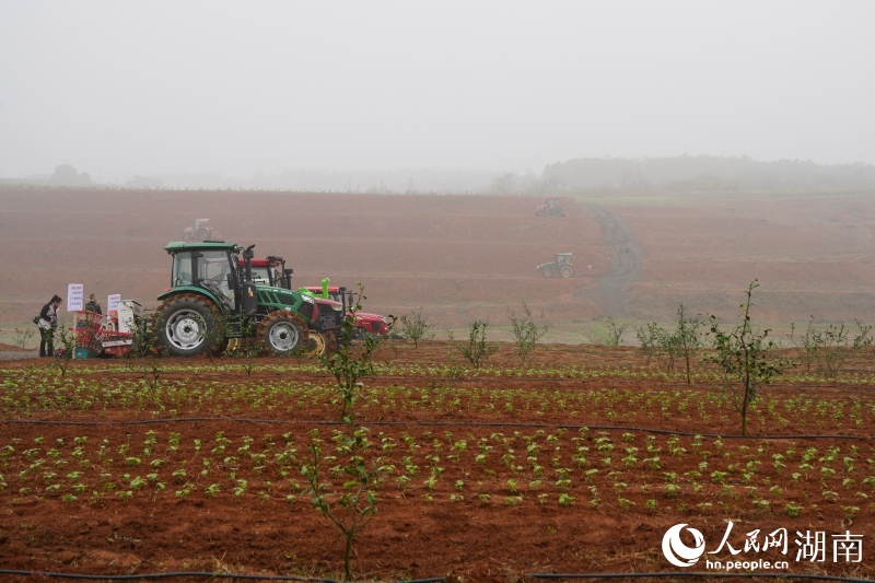 �������ټ���ֵ����ֹ�԰������������ ������